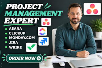 setup asana, clickup, monday, jira, wrike project management, and automation