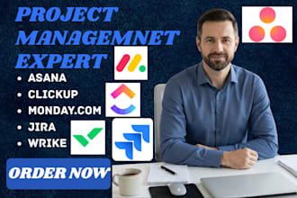 setup asana, clickup, monday, jira, wrike project management, and automation
