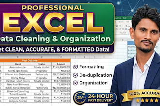 do professional excel and spreadsheet work