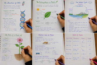 neat handwritten notes,assignment and documents
