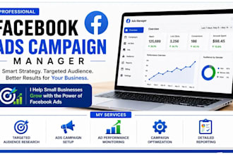 setup and manage facebook ads and meta ads campaigns