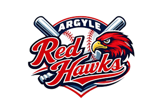 create graceful fantastic hawk and baseball logo design