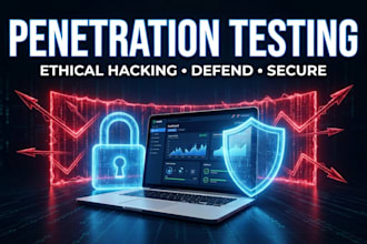 do web application security audit and penetration tasting