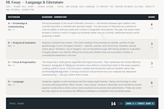 review your ib english a hl essay and give criterion by criterion feedback