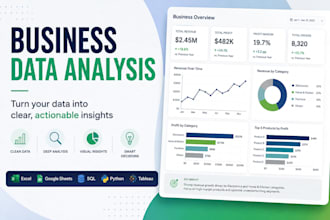 do business data analysis, visualization, and insights