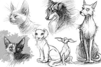draw scribble sketches for cat dog or other pet