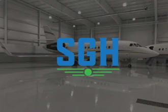 design a super high quality plane, aviation logo