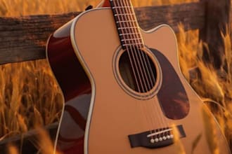 be your female singer for country, country pop and country rock songs