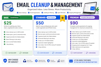 organize,and clean up your business email box