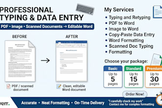 do fast and accurate typing, PDF to word work, document typing