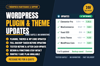 do wordpress updates, plugin and theme updates with full backup