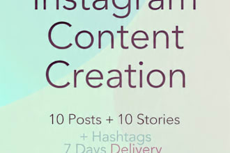 manage your instagram and tiktok page for business growth