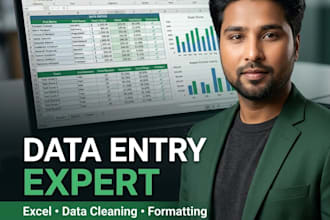 do excel data entry, data cleaning and formatting