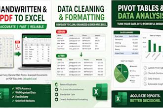 do excel data cleaning , format, handwritten to excel