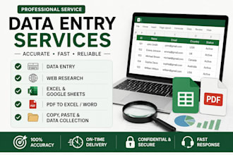 do accurate data entery and web research