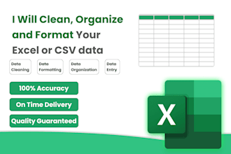 excel data cleaning, data formatting, and data entry