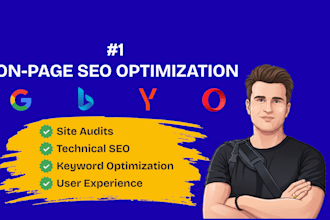 provide expert on page SEO optimization