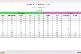 create, format, and organize excel spreadsheets