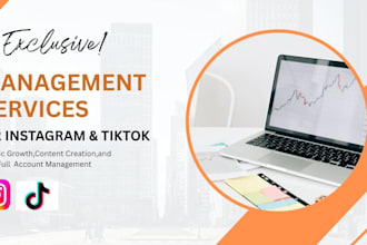 manage instagram and tiktok accounts