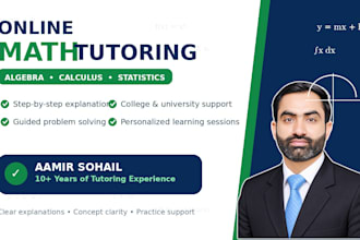 provide online tutoring in math, algebra, calculus, and statistics