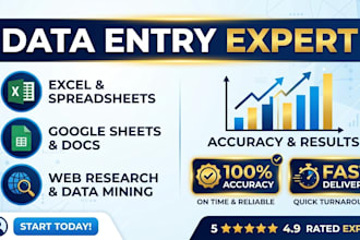 do expert data entry ms excel