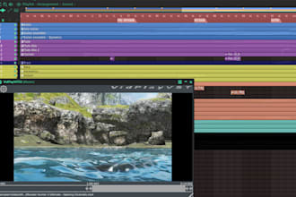 compose original music for your project