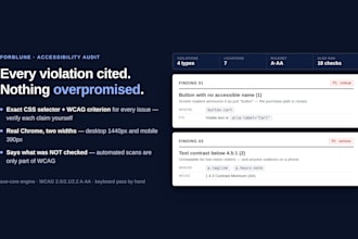 audit your website accessibility for wcag issues with exact evidence
