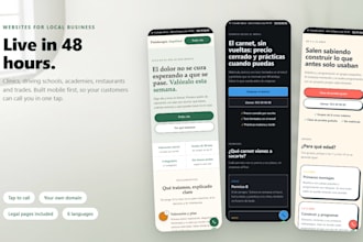 build a fast mobile friendly website for your local business in 48 hours