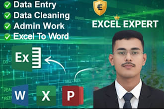 do data entry excel data cleaning and copy paste work