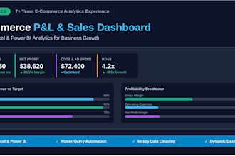 clean complex excel data and build e commerce pnl dashboard