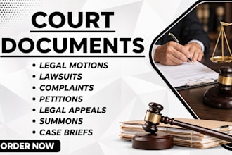draft legal motions, petitions and lawsuits for US federal and state courts