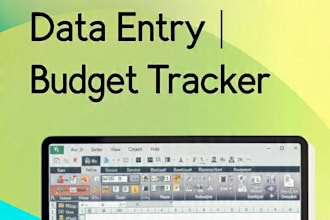 create professional excel sheets budget tracker and data