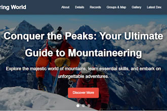 build a responsive custom website