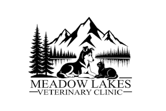 create wonderful and excellent veterinary clinic logo design