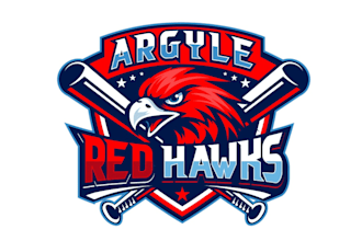 create graceful fantastic hawk and baseball logo design