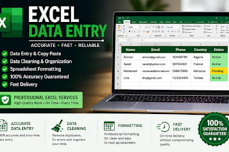 do professional excel data entry, data cleaning and formatting