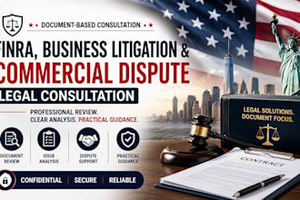provide finra, business litigation and commercial dispute legal consultation