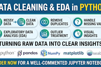 do data cleaning, preprocessing and eda using python