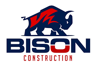 design a professional bison logo in short time delivery