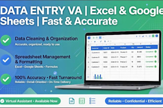 be your data entry virtual assistant for excel