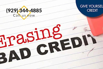 provide professional credit repair, dispute assistance, boost score to 750