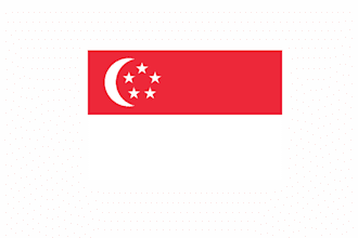provide singapore b2b or business to consumer leads