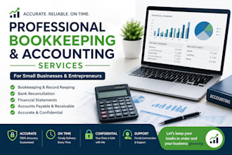 do professional bookkeeping and excel accounting tasks