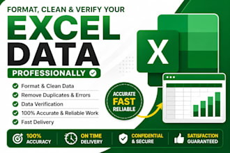 do excel data entry, formatting, cleaning and verification