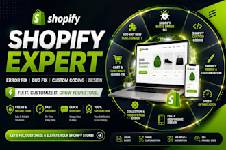 fix shopify errors, bugs, custom coding, design issues, and theme problems