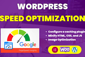 do wordpress speed optimization