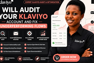 audit your klaviyo account and fix underperforming flows