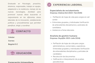 write a professional resume and cover letter