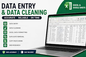 do accurate data entry and data cleaning