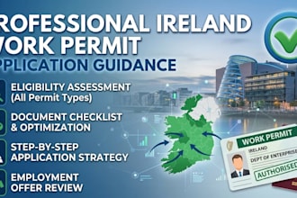 provide professional ireland work permit application guidance